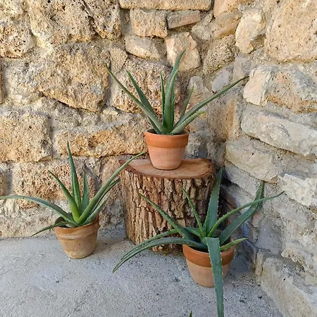 Al Drago Maraone Bed & Breakfast